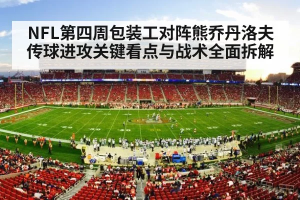 nfl football stadium action